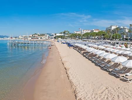 Apartmán Petit Nid Douillet Cannes Pokoj fotografie